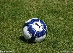 探索去中心,化未来之门,多链钱包,开云体育,开云体育官网,开云体育app,开云体育平台,KAIYUN,SPORTS,kaiyun登录入口