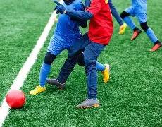 春晚阵容大,揭秘,体育巨星马,开云体育,开云体育官网,开云体育app,开云体育平台,KAIYUN,SPORTS,kaiyun登录入口