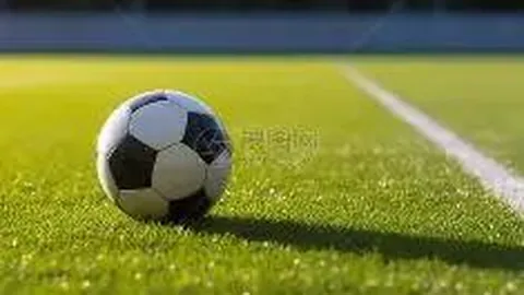 描绘新时代中华体育文化风貌 共绘亚洲体育界和谐共赢图景