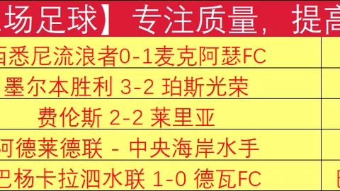 英媒曝范尼加盟曼联旨在激发加纳乔潜能并强化后防